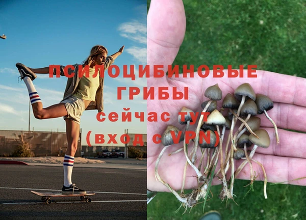 круглые Абаза