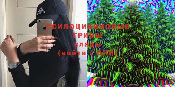 дживик Абинск