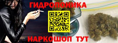 стафф Моздок