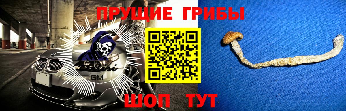 Галлюциногенные грибы Cubensis Советская Гавань