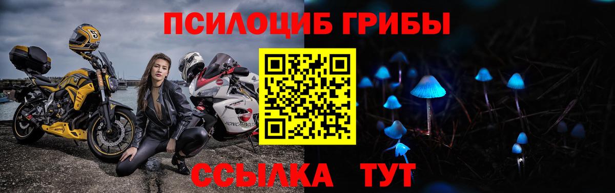 Псилоцибиновые грибы Psilocybine cubensis  Вход с VPN  Советская Гавань  Псилоцибиновые грибы мицелий 